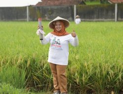 Kementerian ATR/BPN Dorong Partisipasi Masyarakat untuk Pasang Patok Batas Tanah Melalui GEMAPATAS