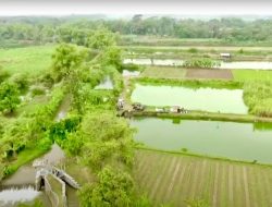 Mengenal Desa Rejoagung, Potensi Desa Meningkat Setelah Program Penataan Akses Reforma Agraria