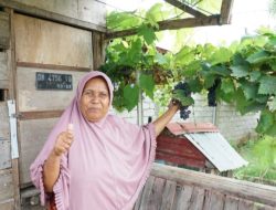 Bukan Hanya bagi Petani, Kampung Reforma Agraria Desa Duyu Juga Bantu Ekonomi Warga Sekitar