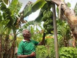 Reforma Agraria Meningkatkan Penghasilan Petani Desa Baumata di Kabupaten Kupang