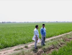 Tinjau Kawasan Industri di Indramayu, Menteri Nusron Pastikan Lahan Tidak Masuk ke LSD